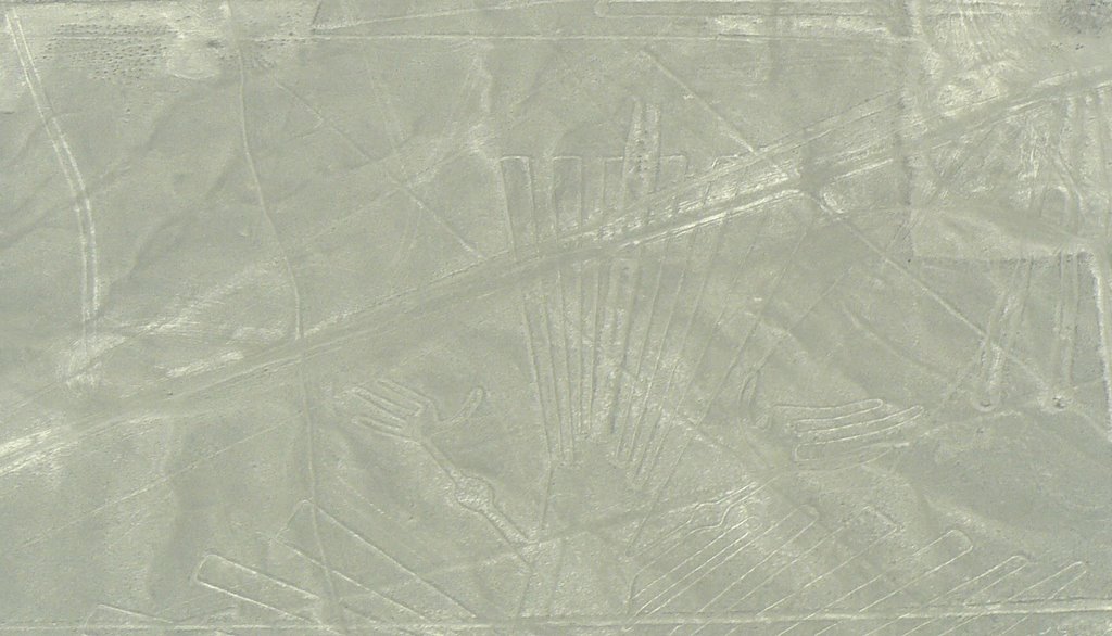 Nazca lines - Condor, Peru by Nicola e Pina Peru