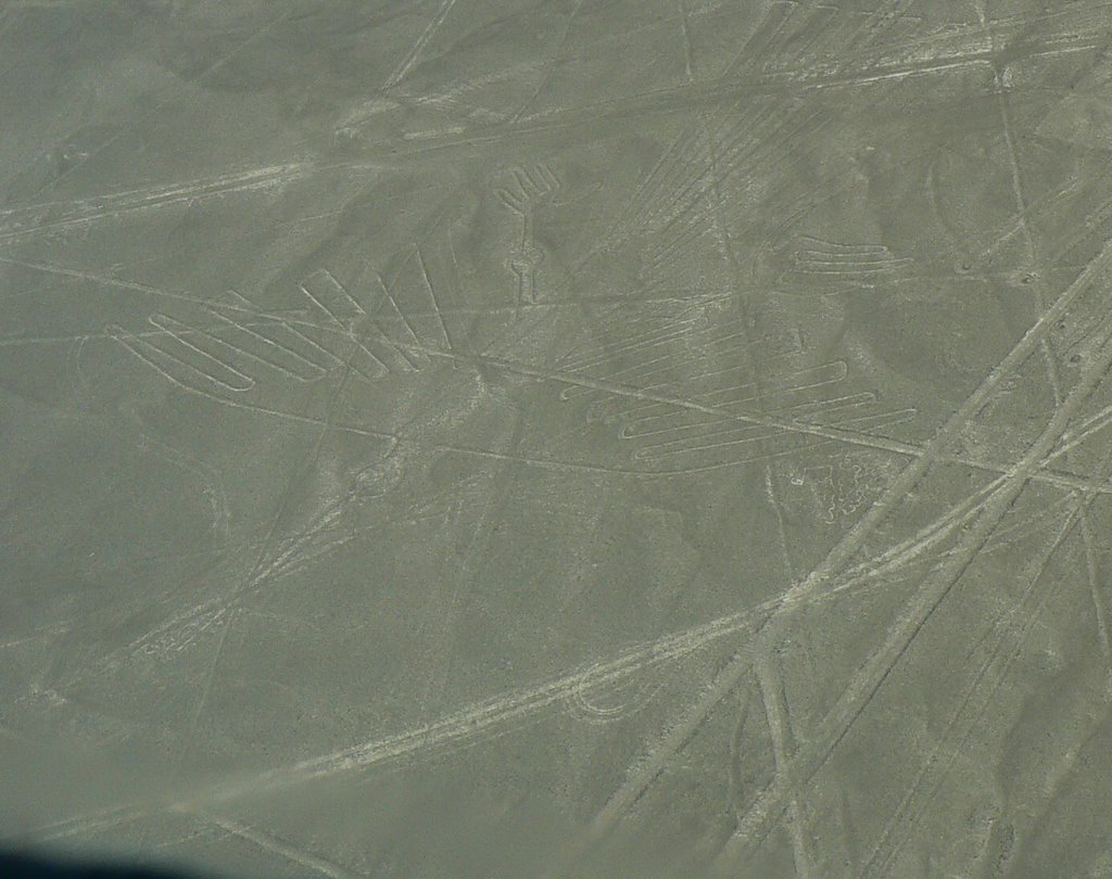 Nazca lines - Condor, Peru by Nicola e Pina Peru