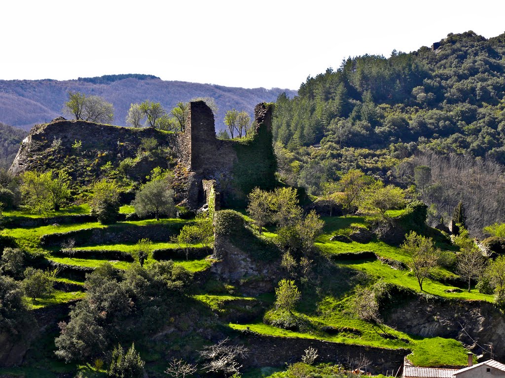 Castèl de Mas Cabardès by Franc Bardou