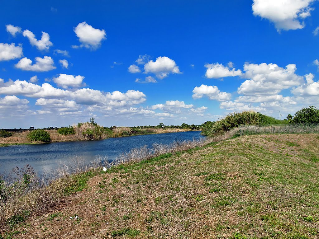 Retension Pond View by Tom Choma