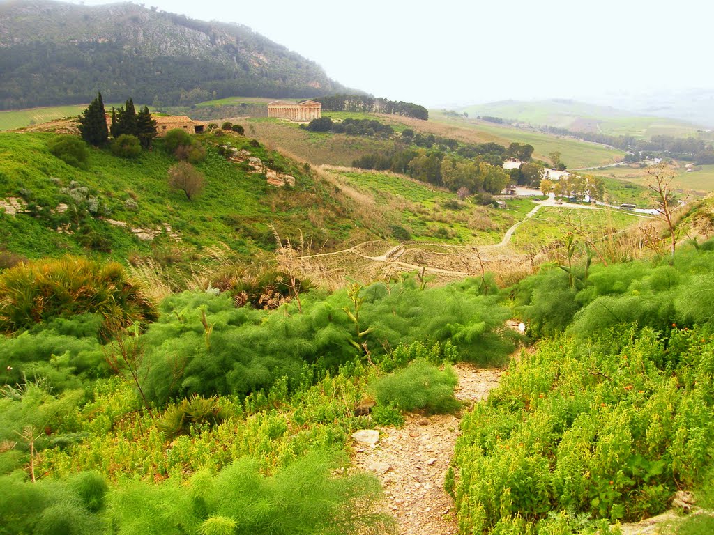 Sendero del Teatro al Templo de Segesta by Miguel Ángel Mato