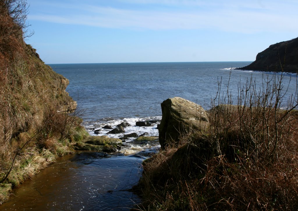 The Bay at Hayburn Wyke by top spotter