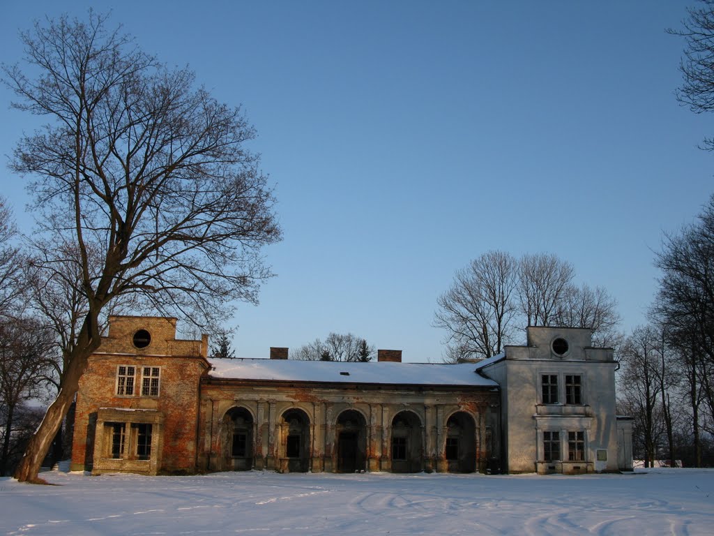 Pałac /Dwór w Brzyskach by car-t