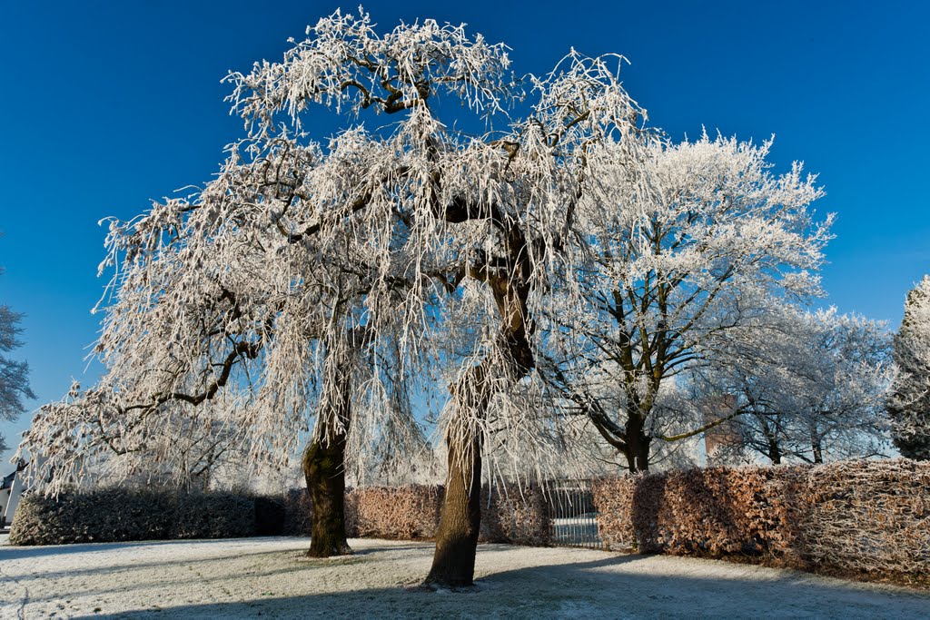 Zevenbergen in winter (2009) by Marcel Otterspeer Fotografie