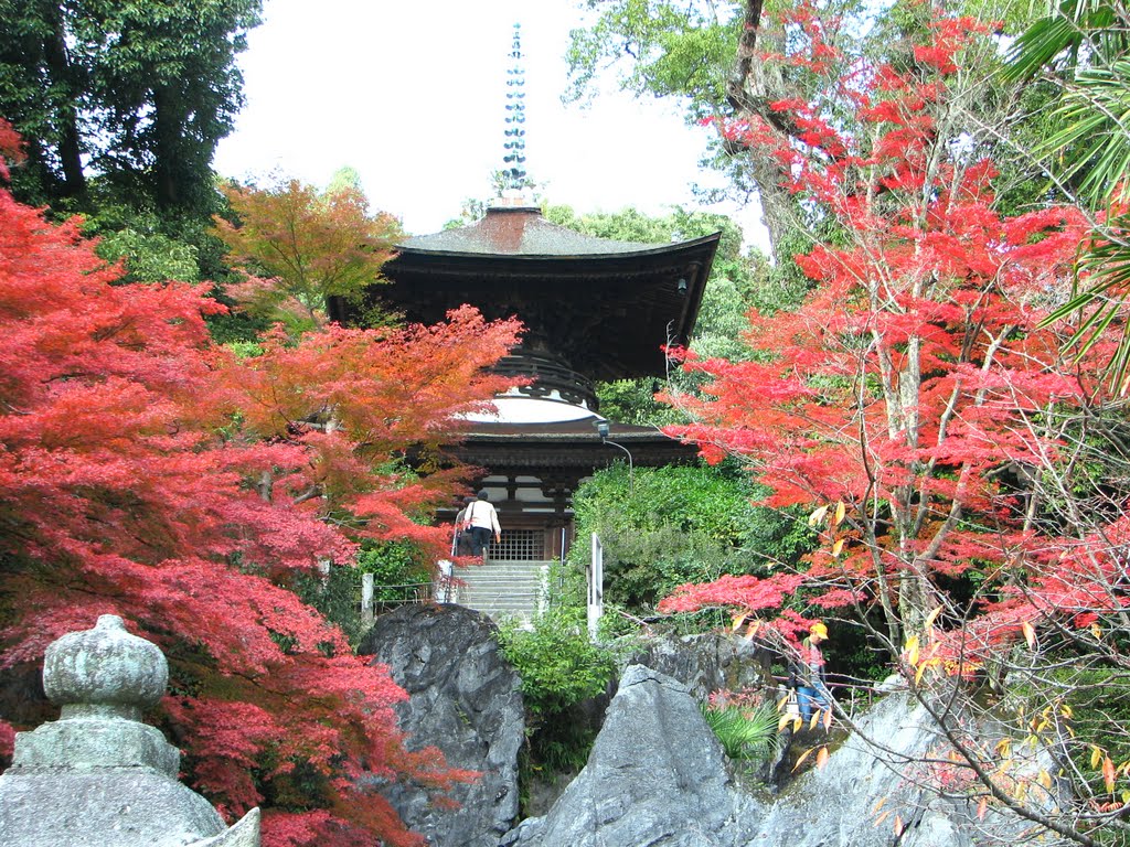 大津市　国宝　石山寺　多宝塔 by Yoshio Kohara