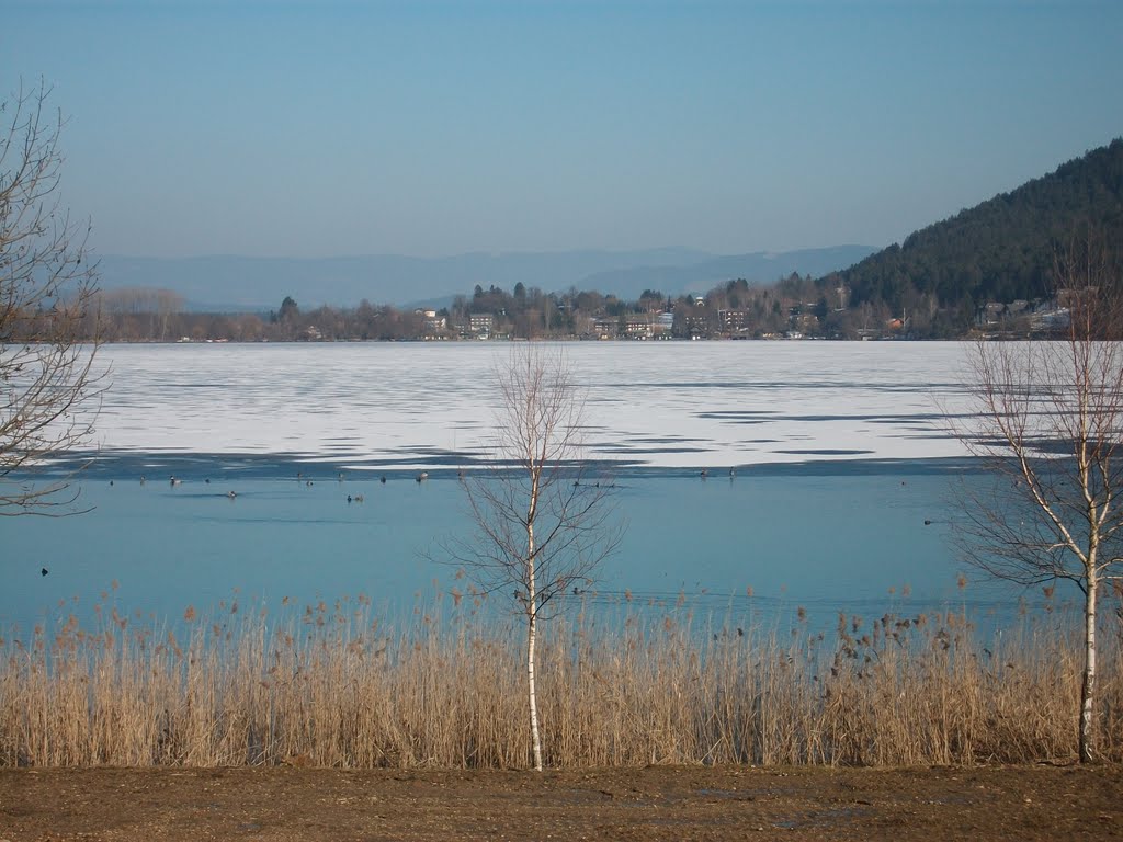 Klopeinersee by Marinja