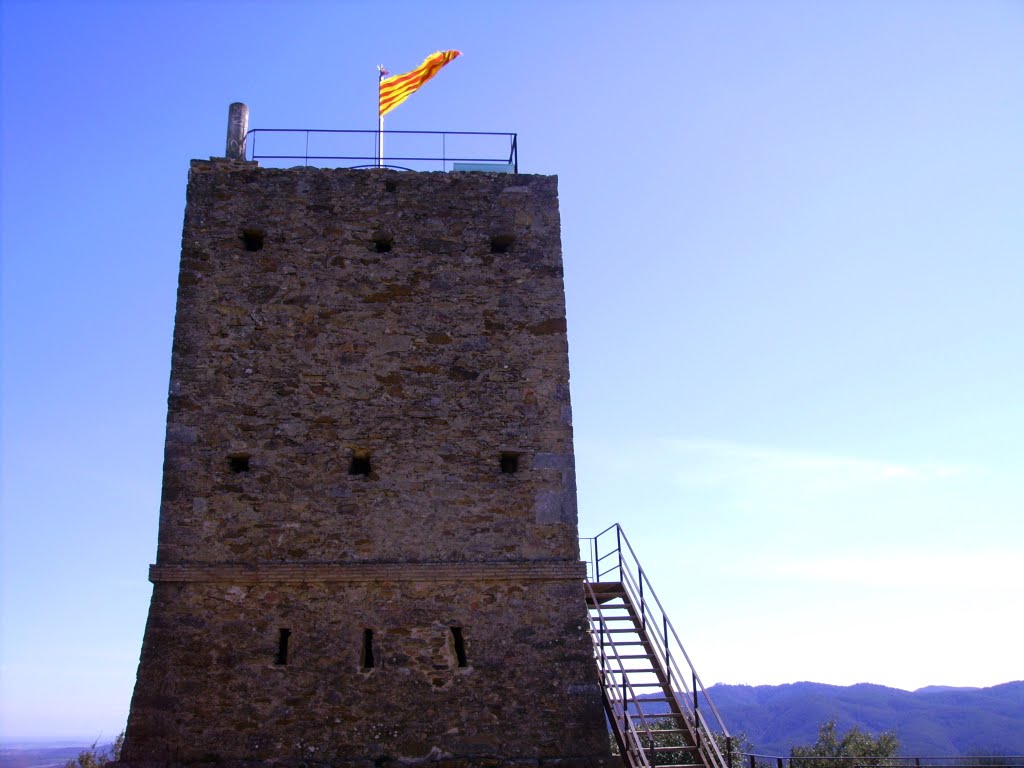 Castell de sant Miquel by Josep Maria Viñolas Esteva