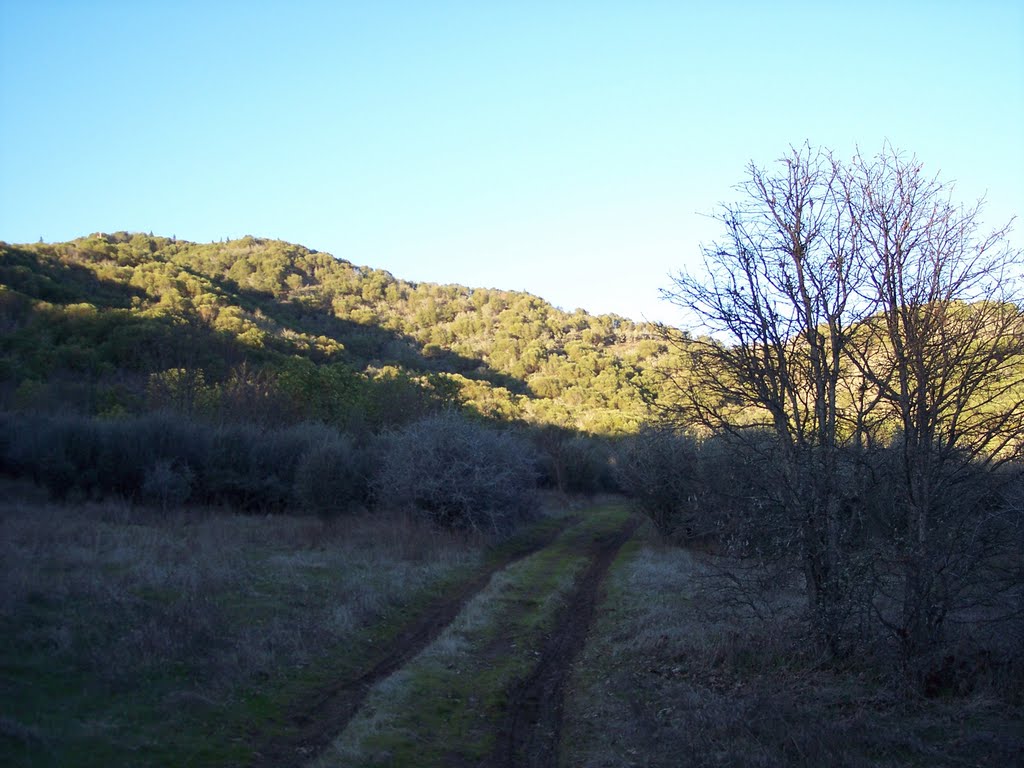 Random quad trail by Nick Pike