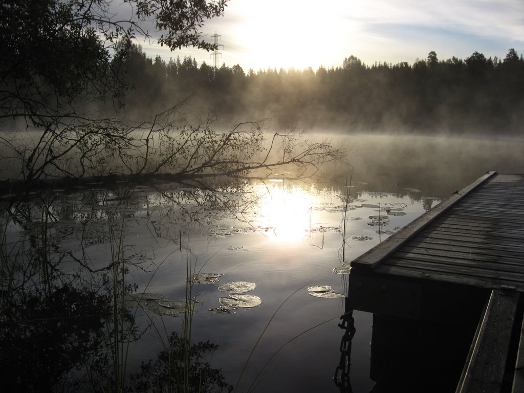 Late september morning, sørmarka. by observer74