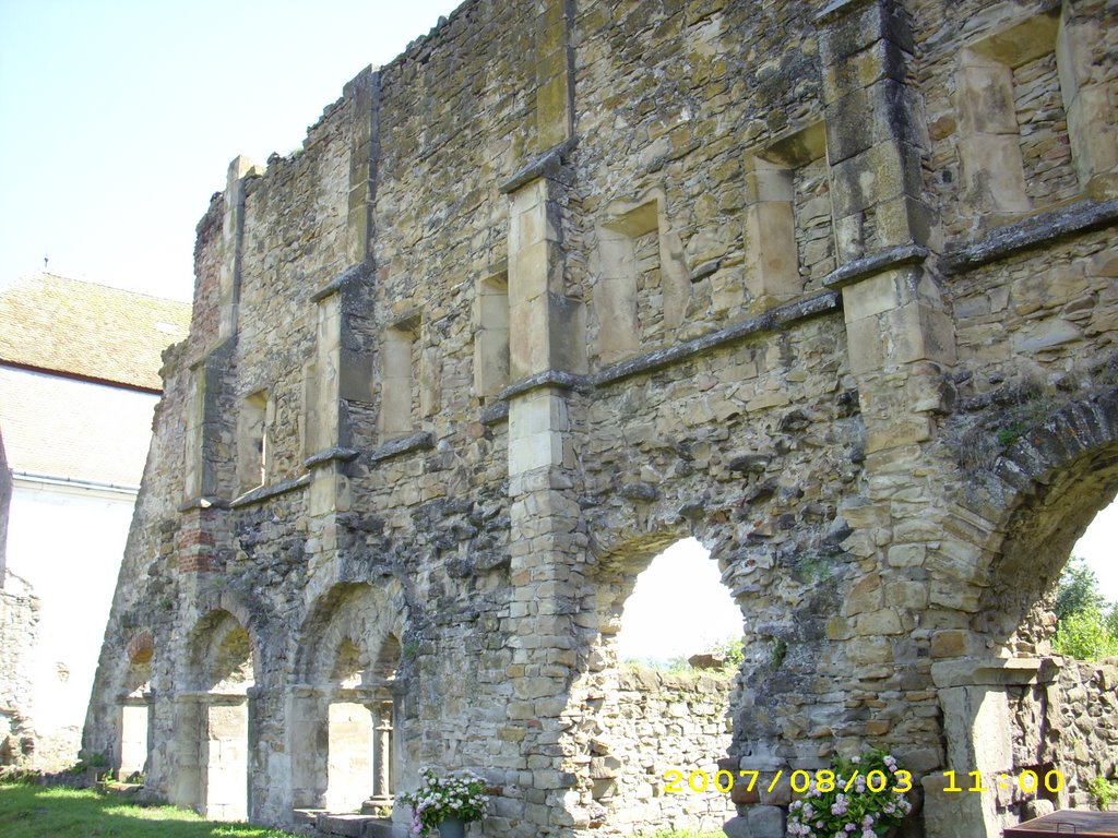 Ruine la Cârța by Popescu Gabriel