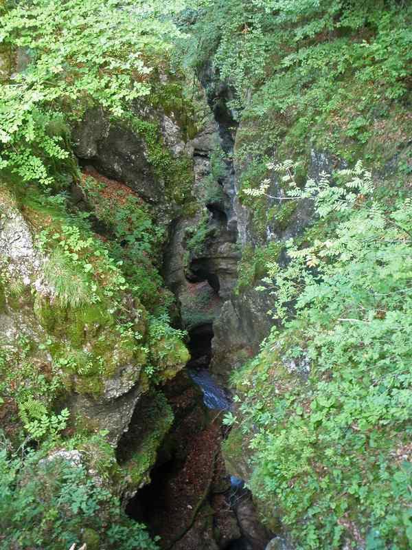 Taxabach 2009 Blick von der Brücke by Canyonwolf