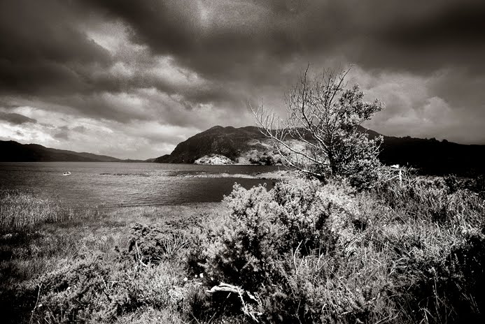 Carragh Lake, Co Kerry, Ireland. by 2c