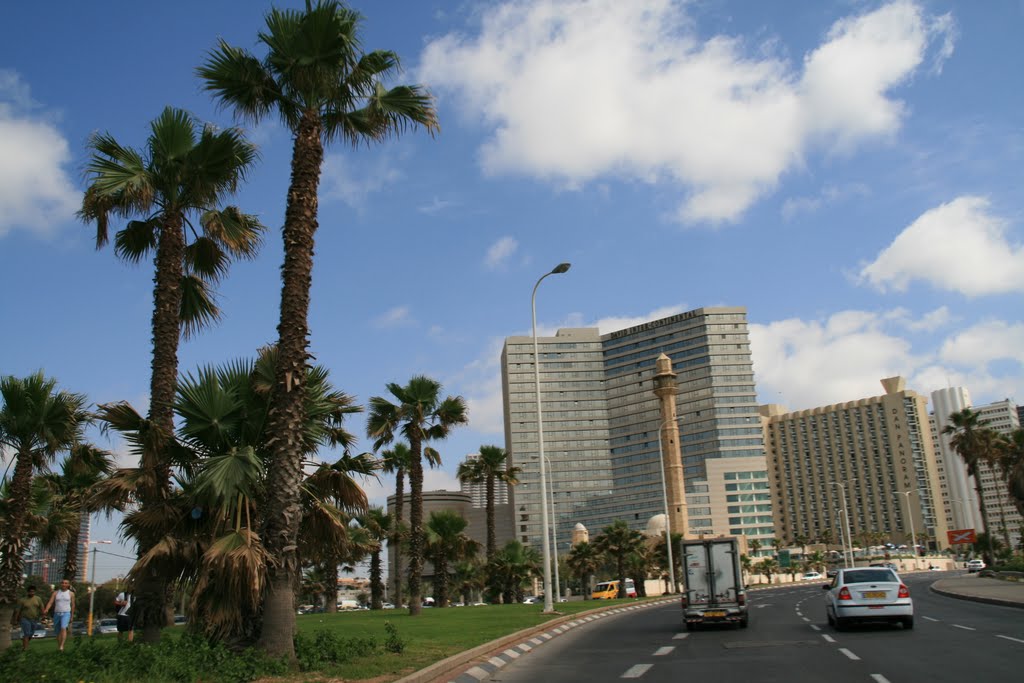 Tel-Aviv hotels: David intercontonental and Dan Panorama by SWU2010/11