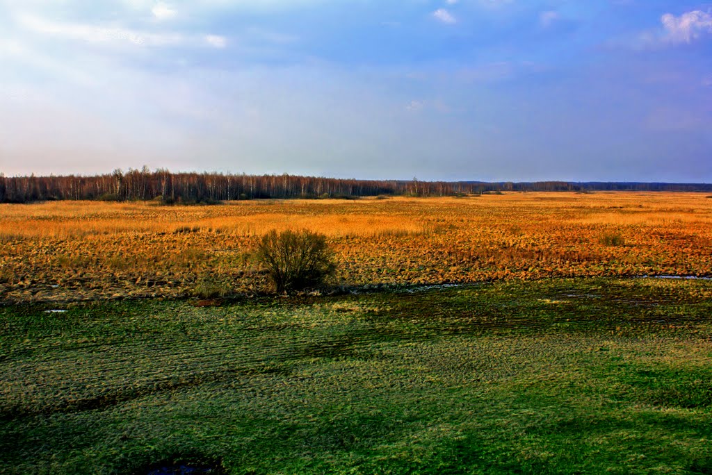 Rezerwat Przyrody Czerwone Bagno w Biebrzańskim Parku Narodowym / Red Marsh Nature Reserve by Ula Ch-L