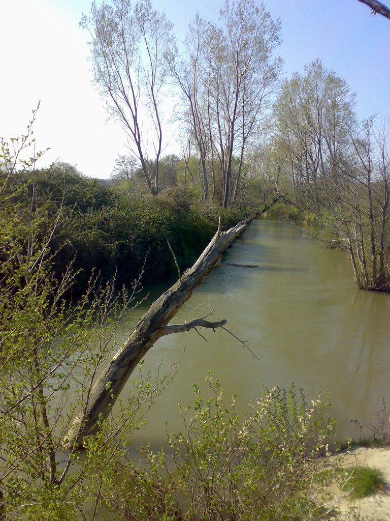 Ormanlı Balık deresi by Nalan Kutsal