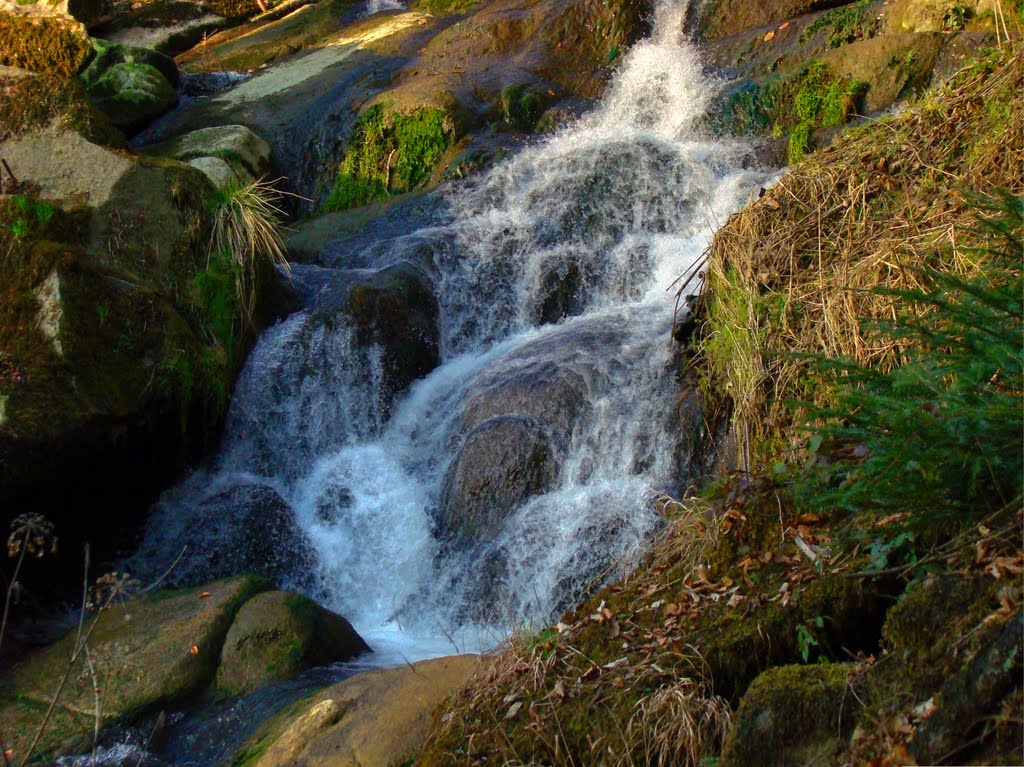 Birkinger Wasserfall by Veitinger