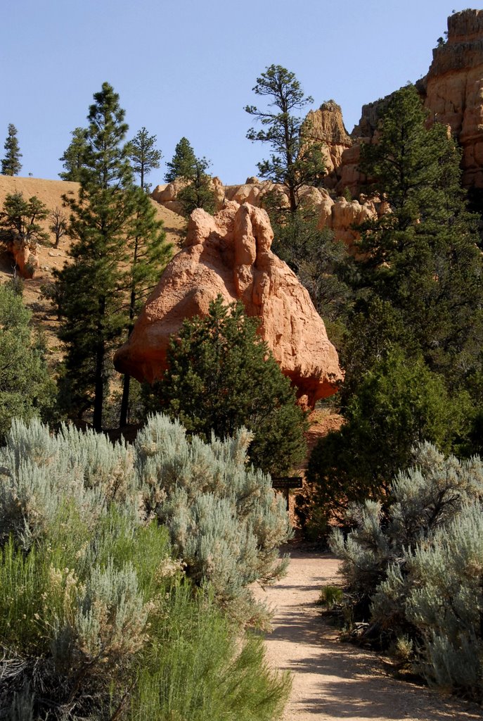 Leaving Bryce via Red Canyon by Hank Waxman