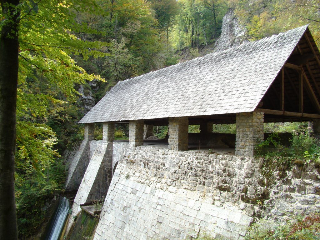 Idrija - Hiden in forest 2 by Samo Trebizan