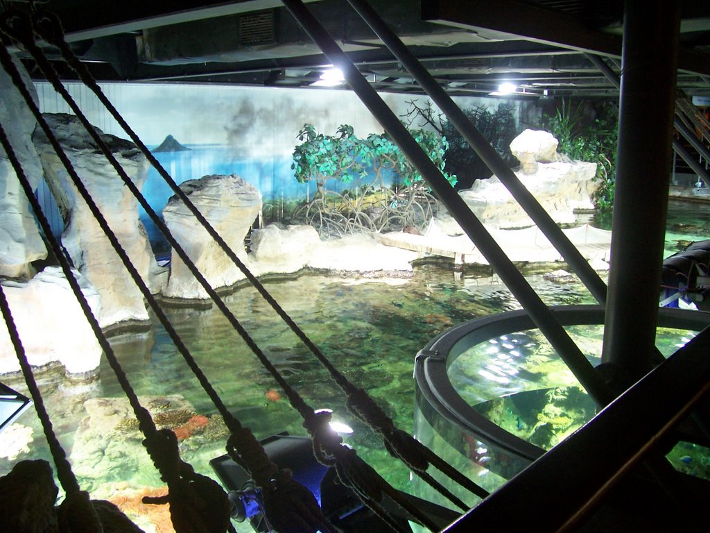 Acquario di genova by Emanuela Meme Giudic…