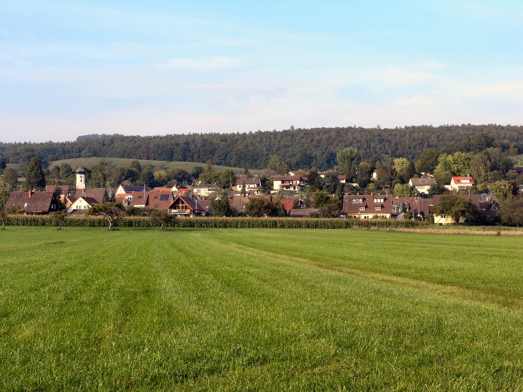 Moeggingen bei Radolfzell am Bodensee by www.hegau-panorama.de