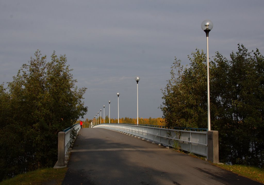 Bicycle bridge perspective by Kimmo Lahti