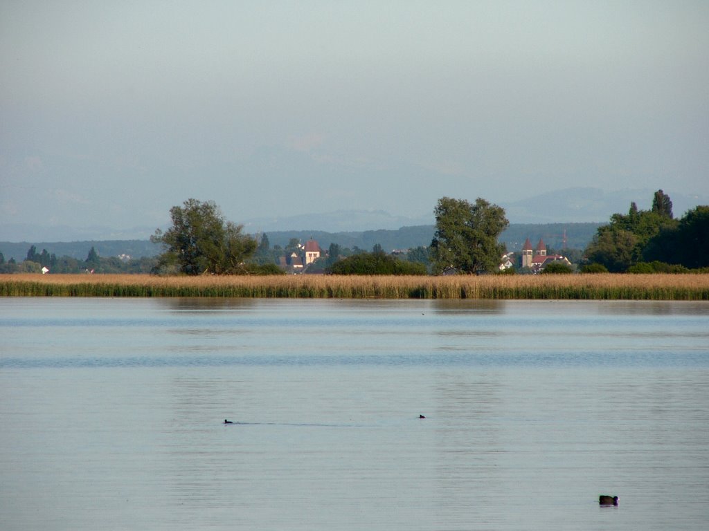 Markelfinger-Winkel_Reichenau by www.hegau-panorama.de