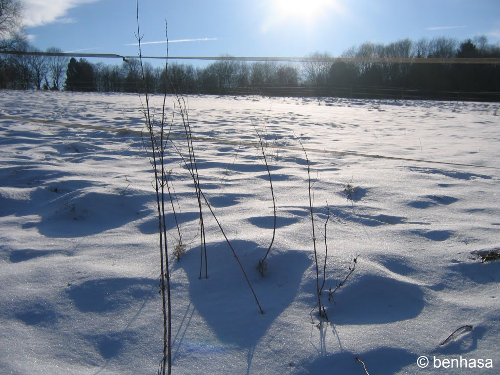 Wintersonne by benhasa