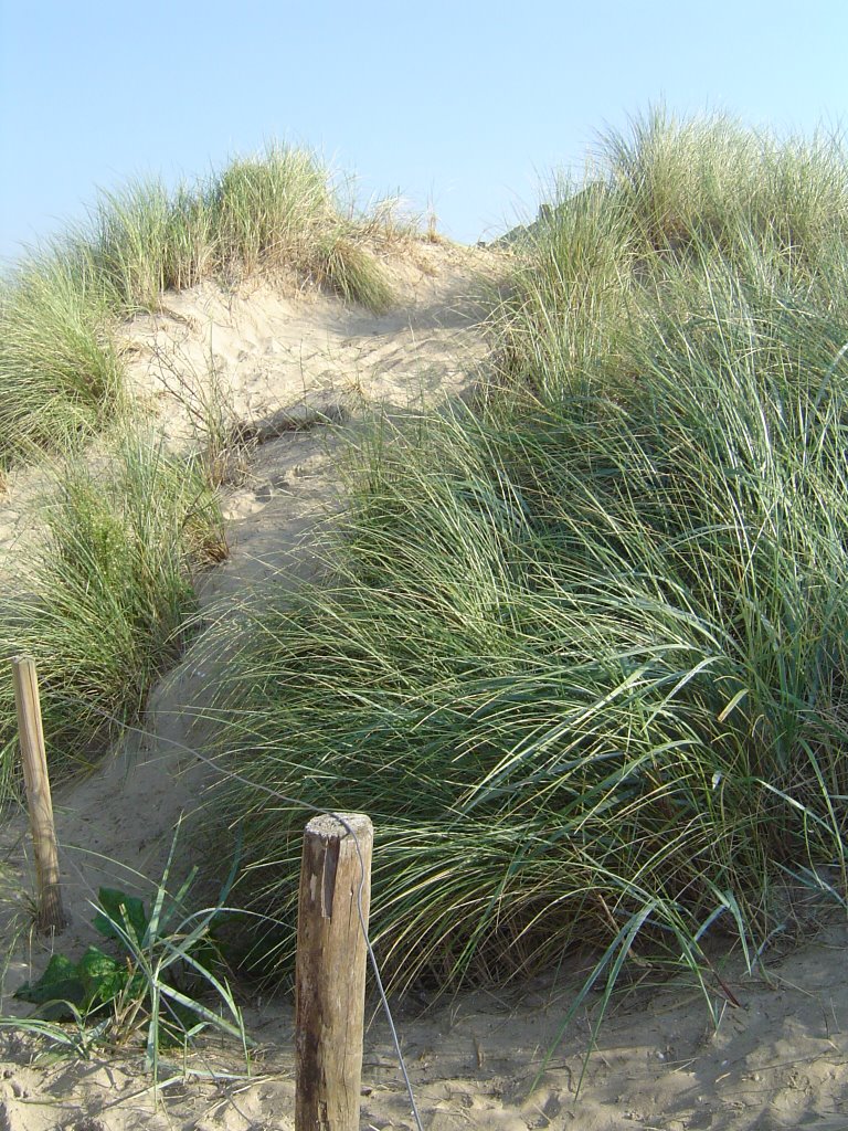 The dunes of Houten (north of Leebrug 1) by David Jimmink