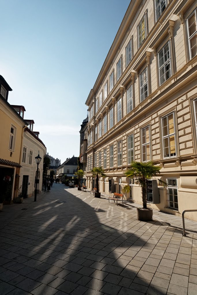 Baden bei Wien - Pfarrgasse - View West by txllxt