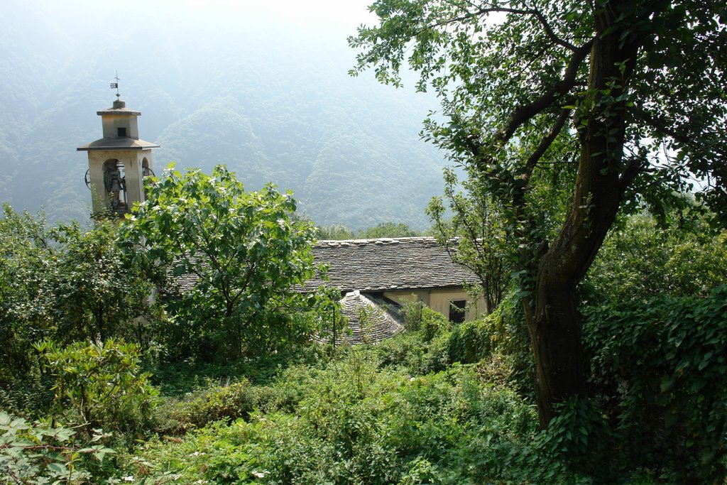 Cicogna, Val Grande by subrolita