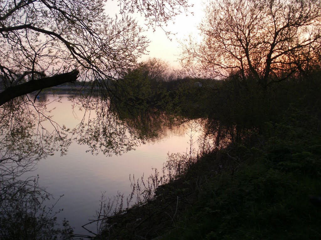 Attenborough Nature Reseve by David Myers  2011