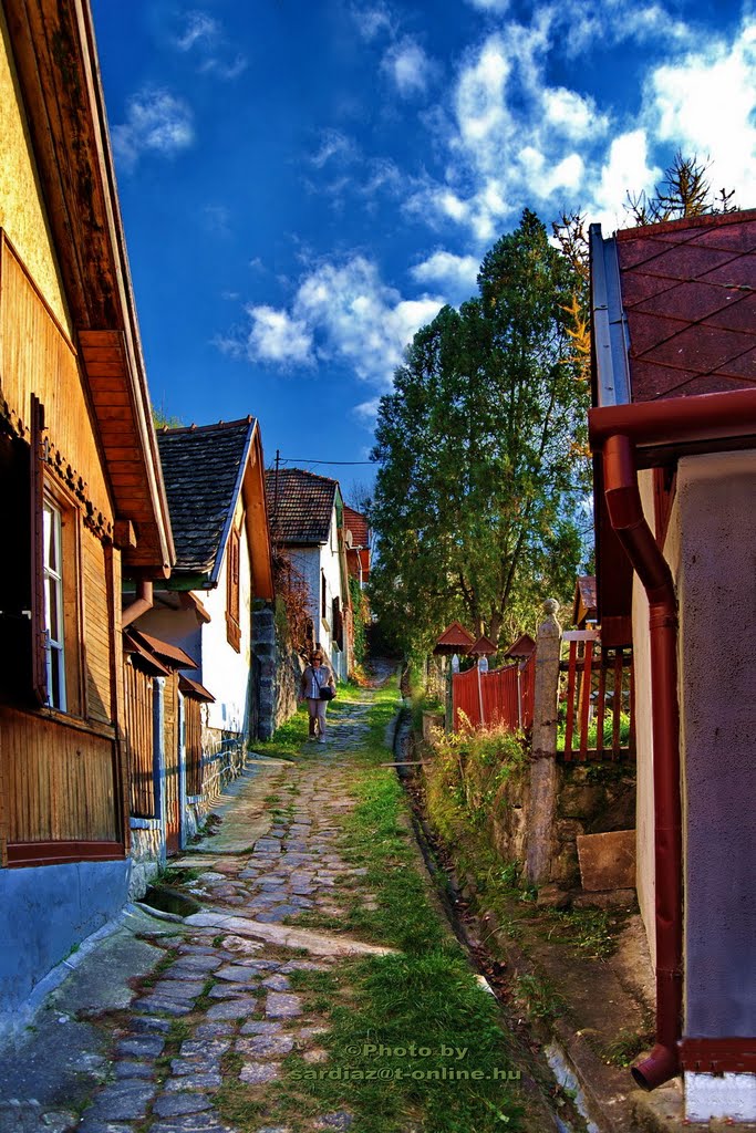 Narrow street - Zebegény DSC_0823-1 by Sárdi A. Zoltán ♥Budapest♥