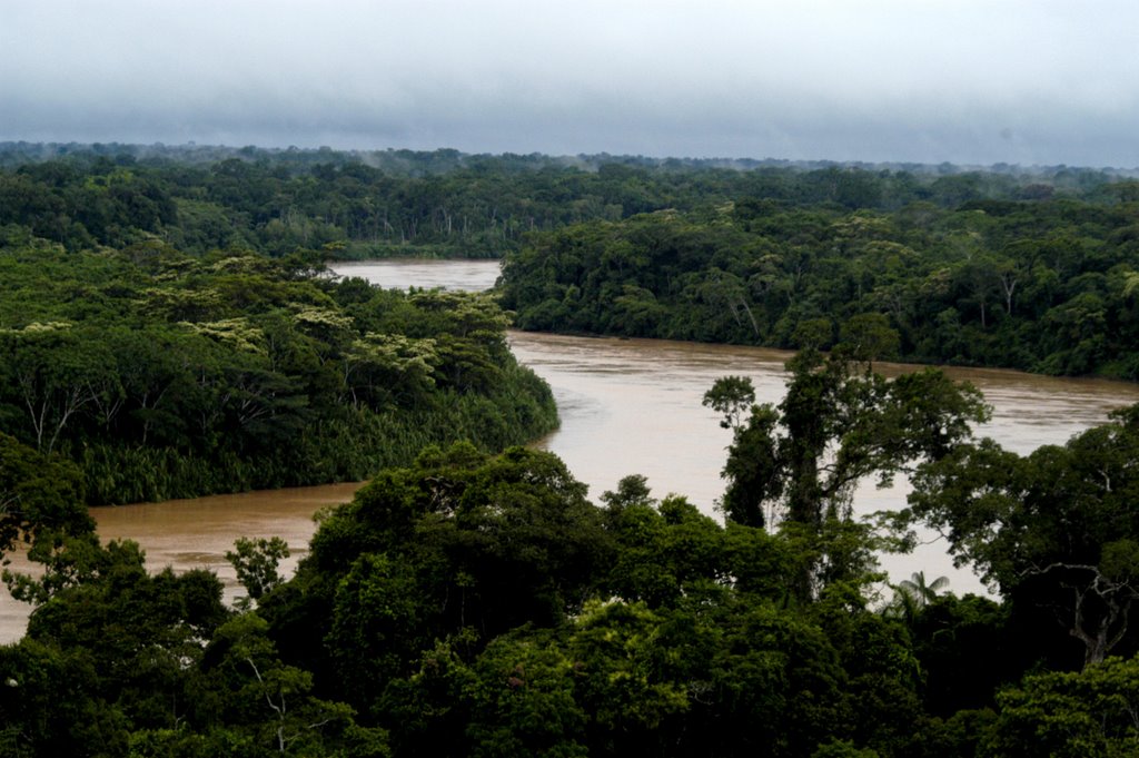 Rio Tambopata, Peru by Tom White