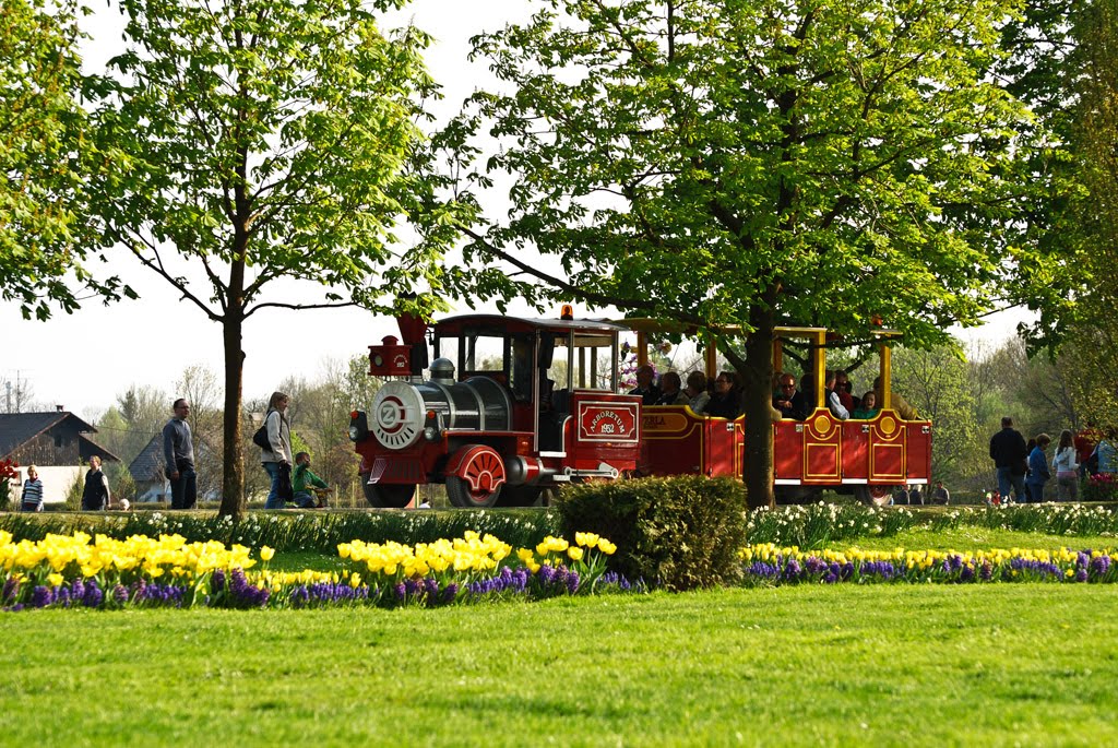 Train in the arboretum by Gregor Krašnja