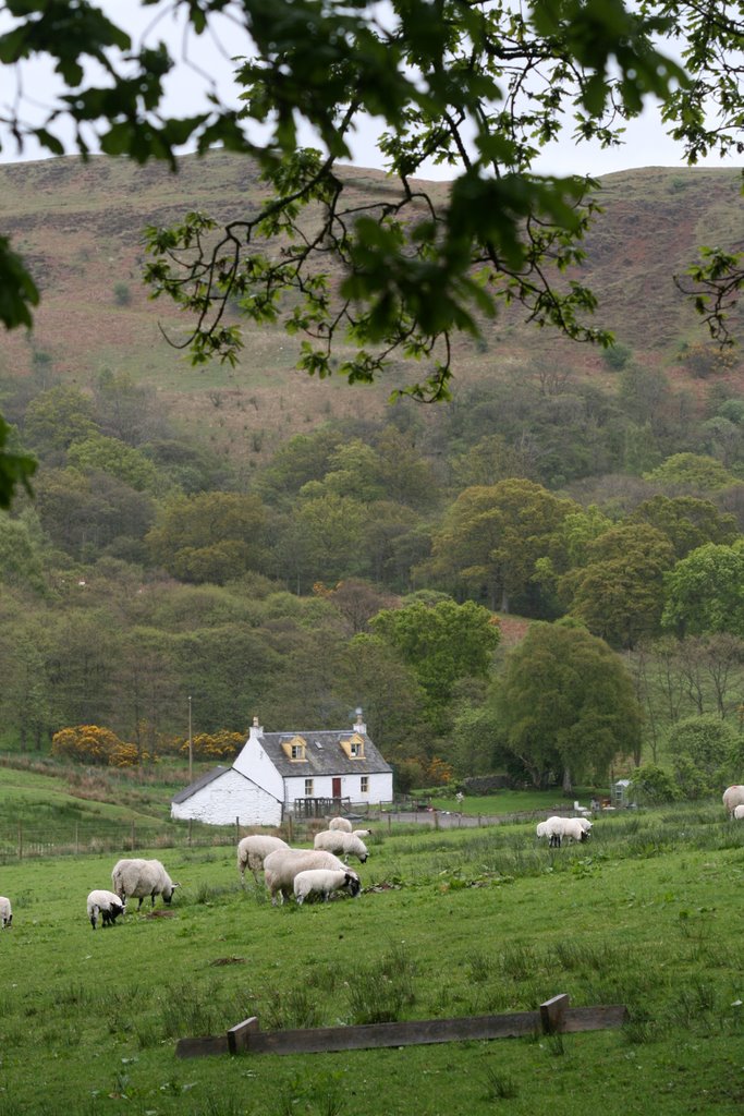 By Loch Lomon by Jesper Berling