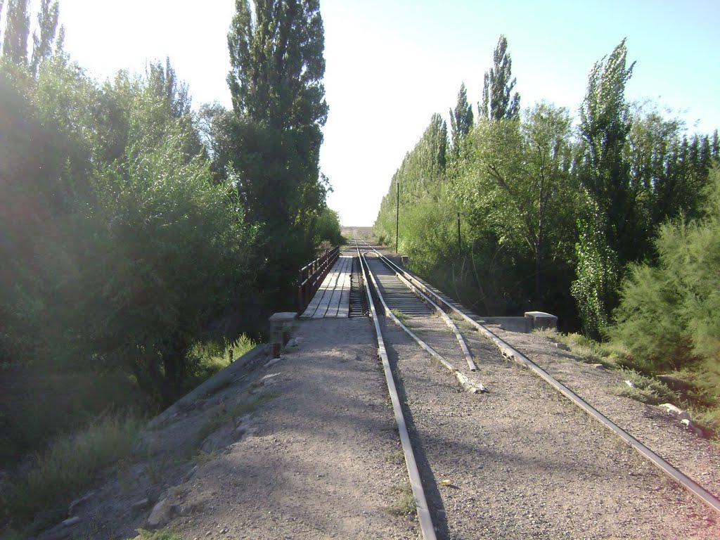 Puente del tren sobre el río by Payun Matru