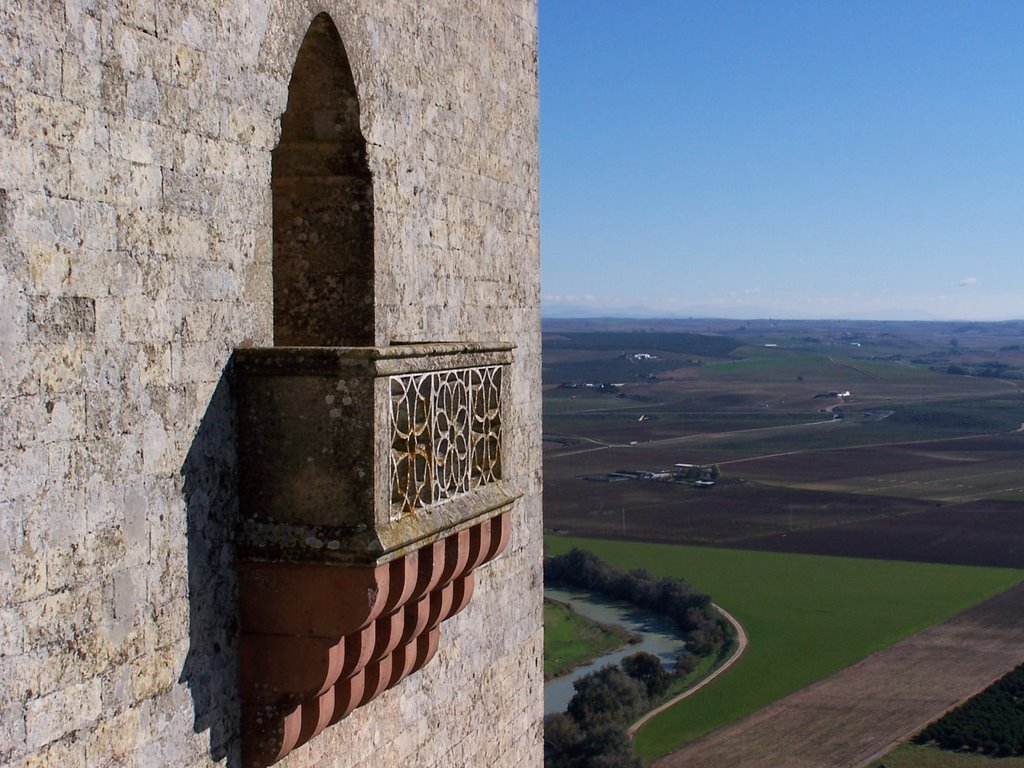 Almodovar Castle by Jose Luis Ogea