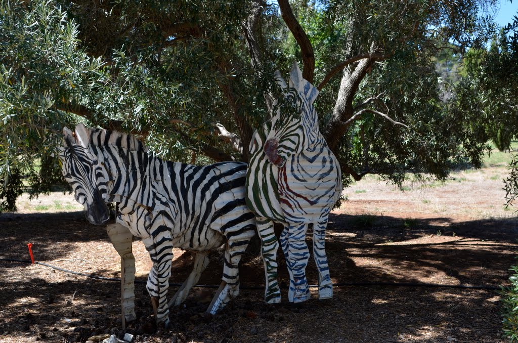 Zebras from Corrugated Iron by CraigWS