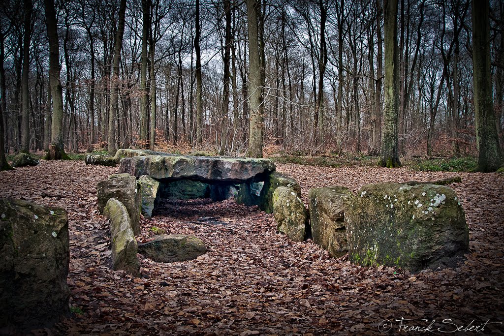 Forêt de Carnelle, La Pierre Turquaise (2000 av JC - 2000 BC) by Franck Sebert