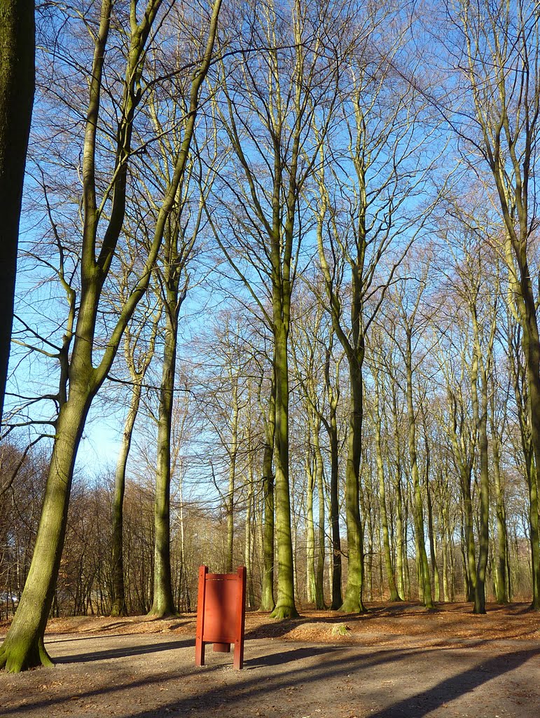 One red sign, numerous green trees by thor@odin™