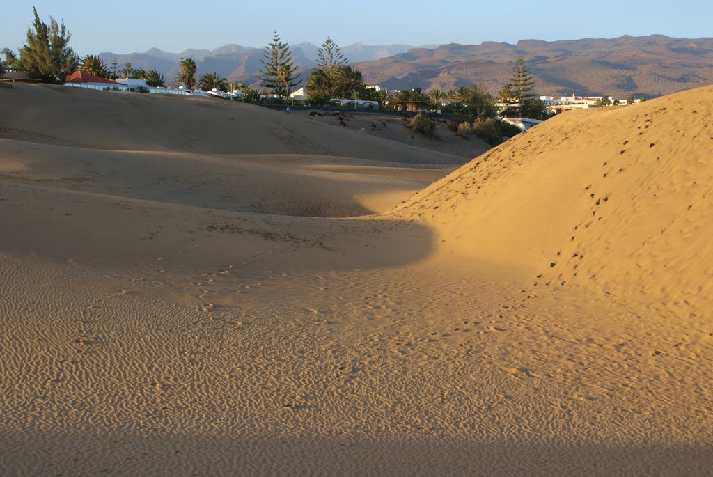 In den Dünen von Playa del Ingles by loamvalley