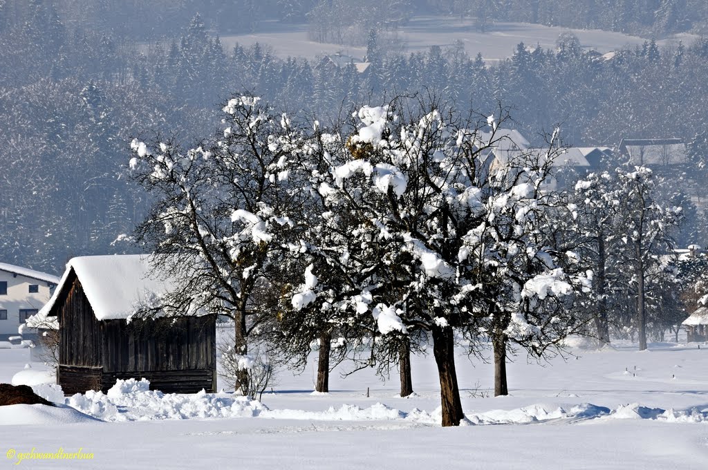 Winterlandschaft Bad Goisern by gschwandtnerbua