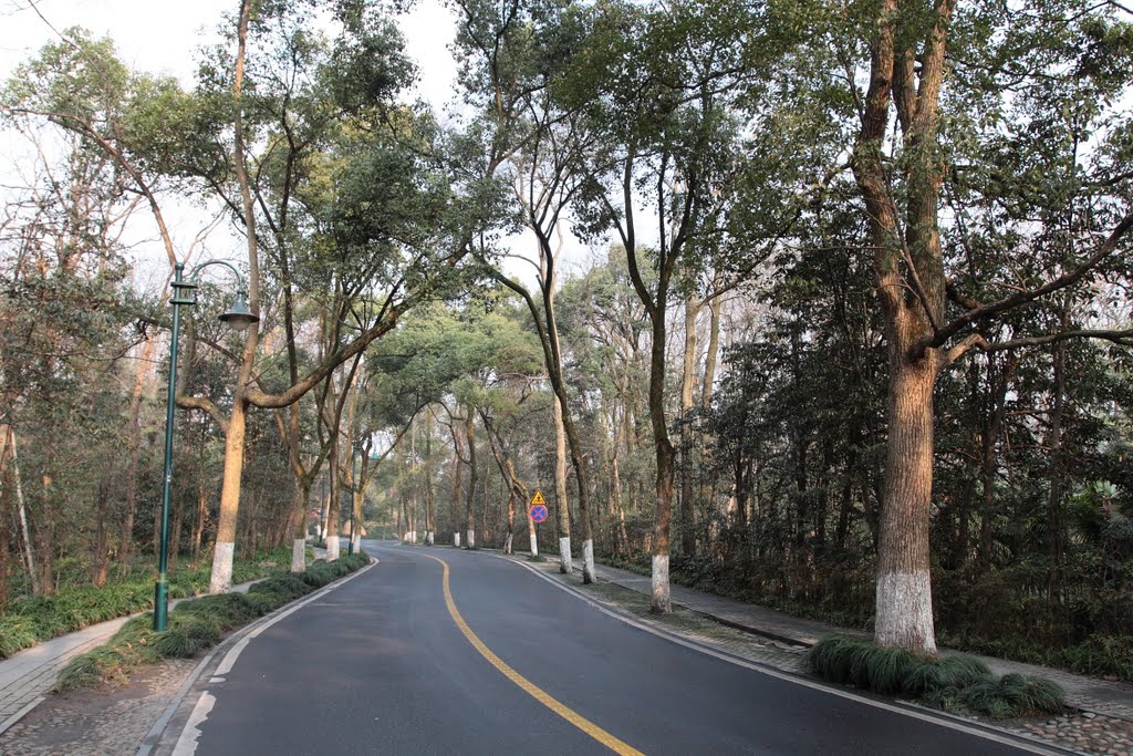 三台山路 Santaishan Rd by netcn.org