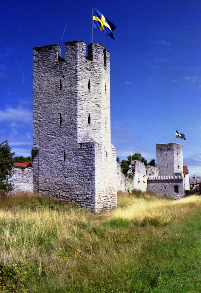 Muren söder om Österport-1995 by Ulf Bergh