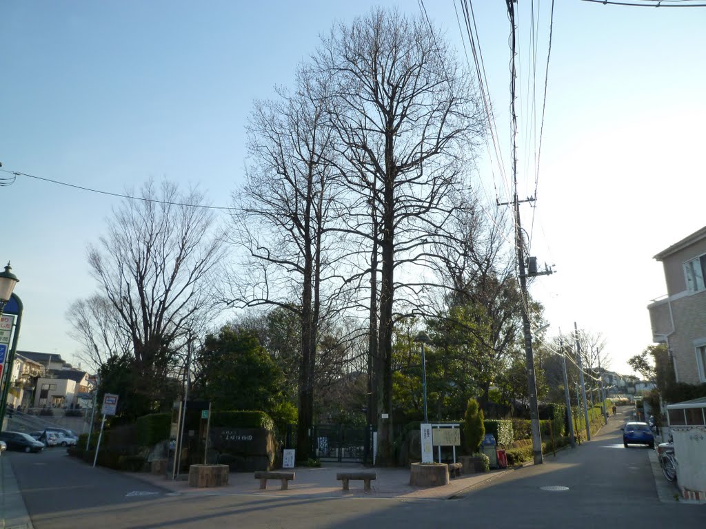 赤塚植物園入口 (東京都板橋区) (The entrance of Akatsuka Botanical Garden, Itabashi-ku, Tokyo, Japan) by scarbo