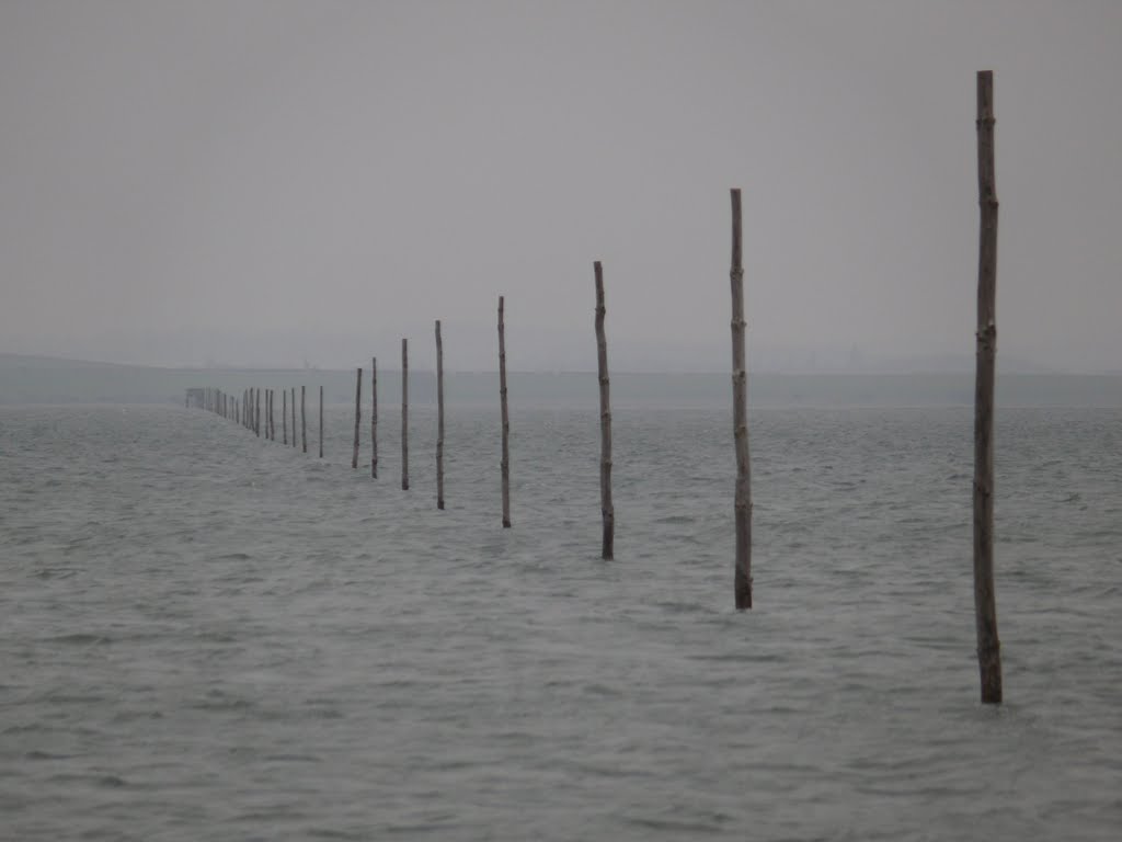 Pilgrims Way onto Holy Island by David Rooney