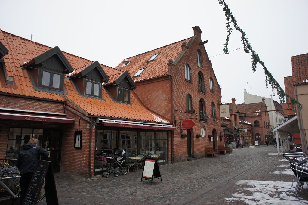 Odense 3. marts 2011 by papkassen