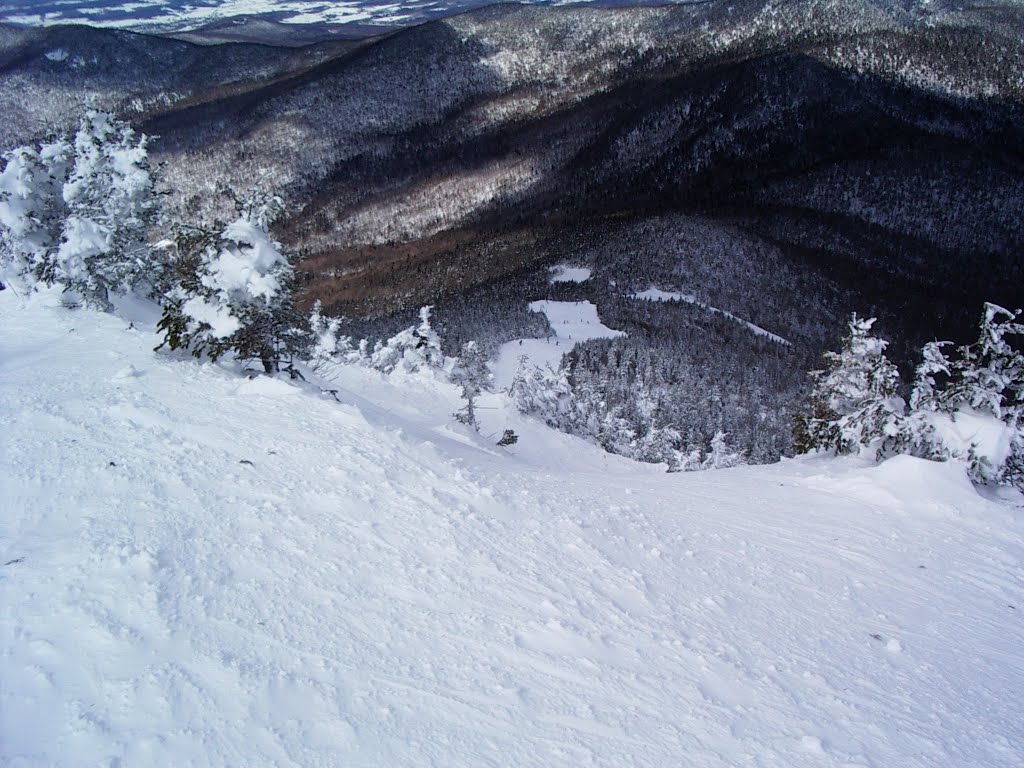 Upper slopes of Jay Peak. March 2005. by Lukas Eddy