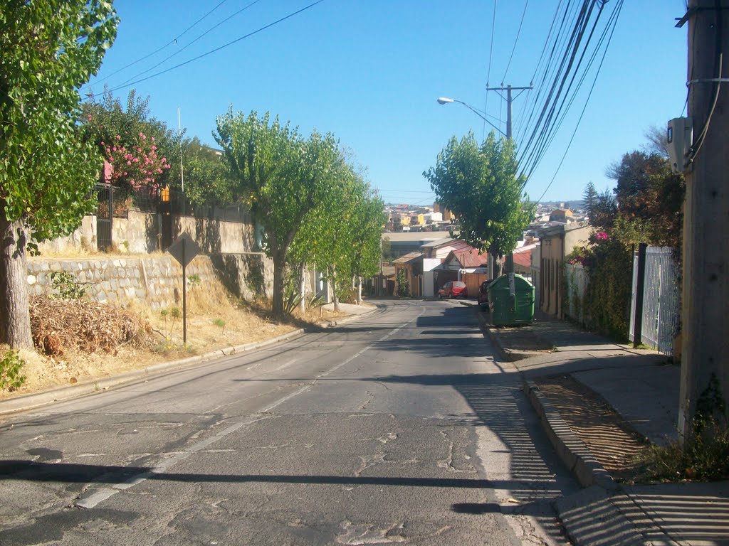 Calle Amunátegui. Viña del Mar V Región by Ignacio Paredes