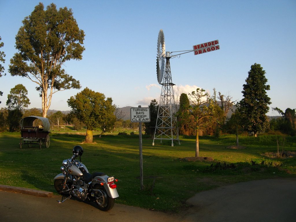 The wind wheel and a Harley at Bearded Dragon Restaurant by fotokönig